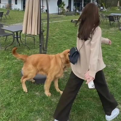 歪果仁研究协会